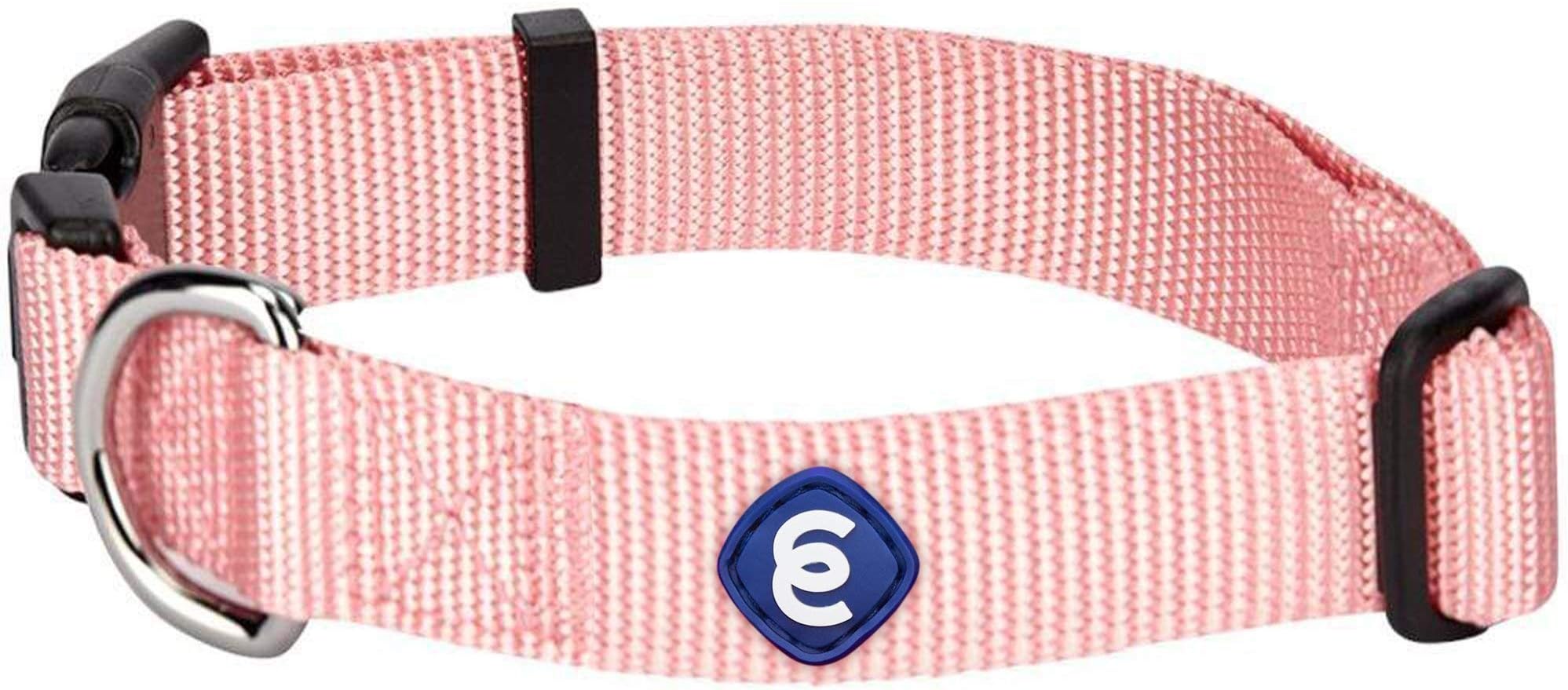 personalized dog collars amazon