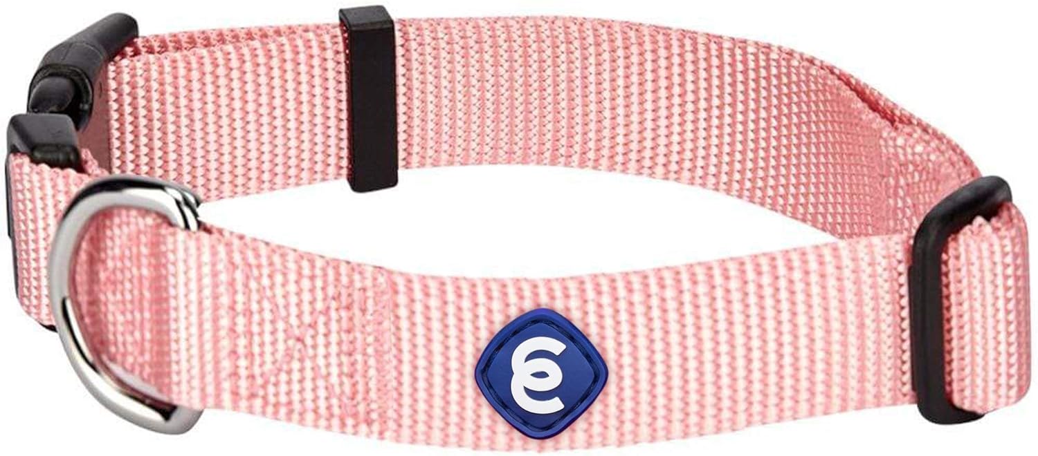 petsafe replacement receiver