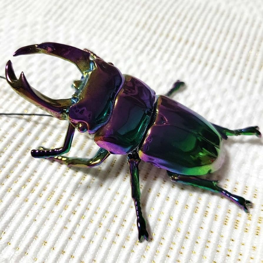 生物　閲覧用 Amazon.co.jp: Biological Encyclopedia Stag Aurora Color : Pet Supplies