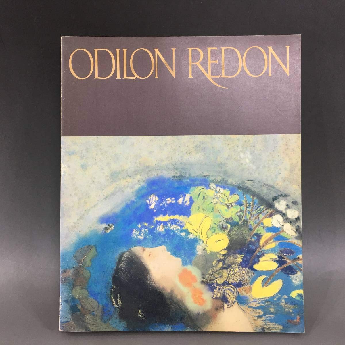 Amazon.co.jp: BT2/63 オディロン・ルドン展 図録 1989年 東京国立近代