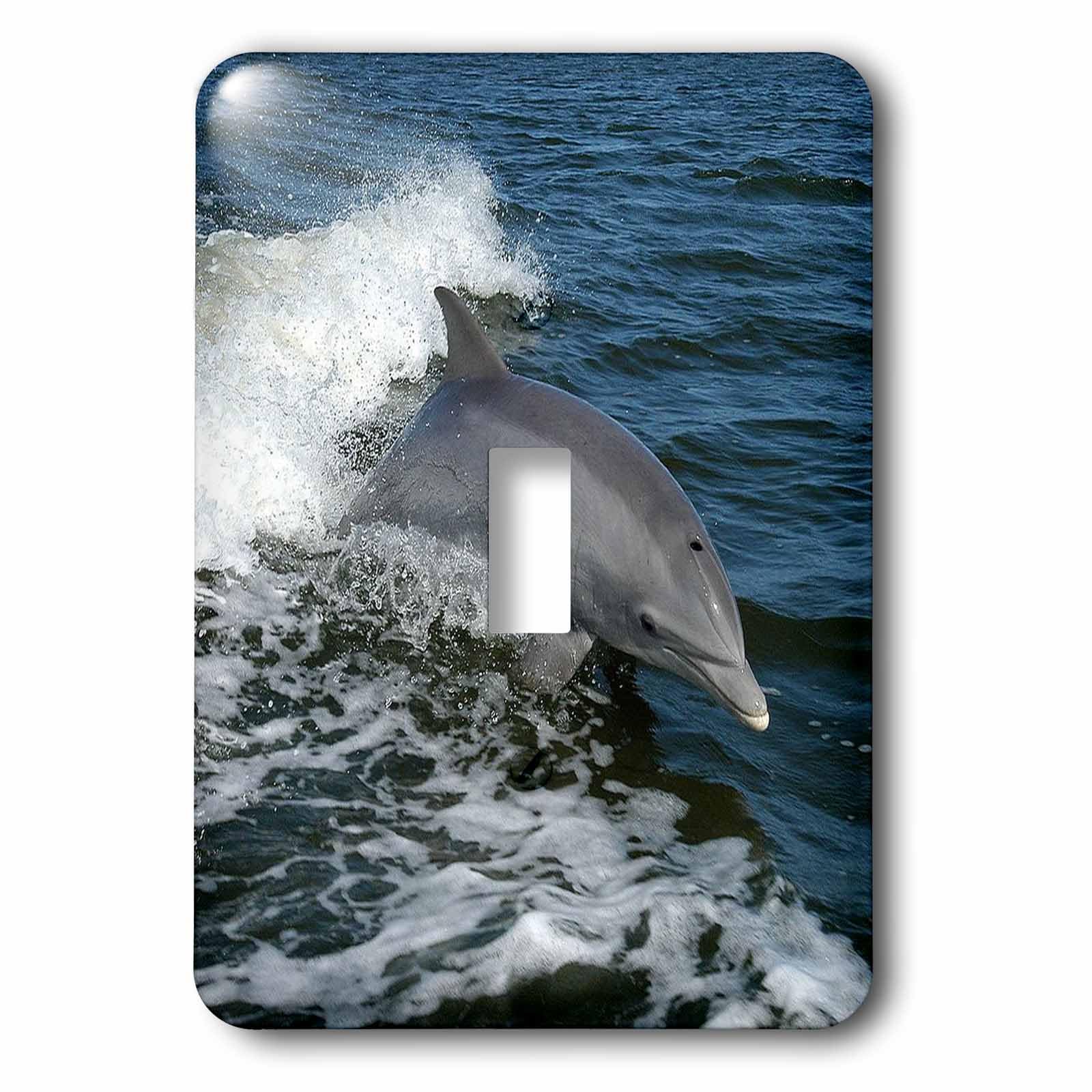 Interrupteur à baïonnette haut de gamme motif Dolphin Splash 3dRose