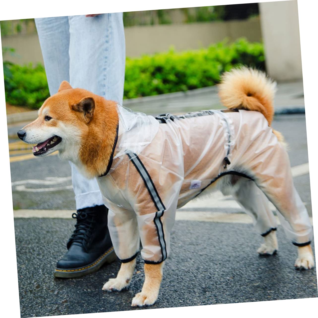 BESPORTBLE 3stücke Hunderegenmantel Und Reflektierend Transparentes Design Schützt Vor Nässe Und Kälte Für Kleine Bis Mittelgroße Hunde Langlebiges Material Bequem Für Aktive Tiere