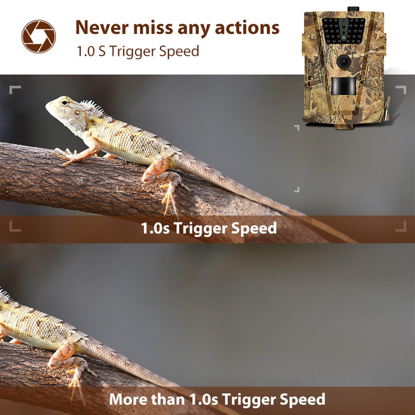 Kamera Obserwacji Dzikiej Przyrody Trail Hunting Camera Night Vision Fotopułapki Wildcamera Wild Surveillance Wildlife Scouting Cameras(2PCS HT001B)