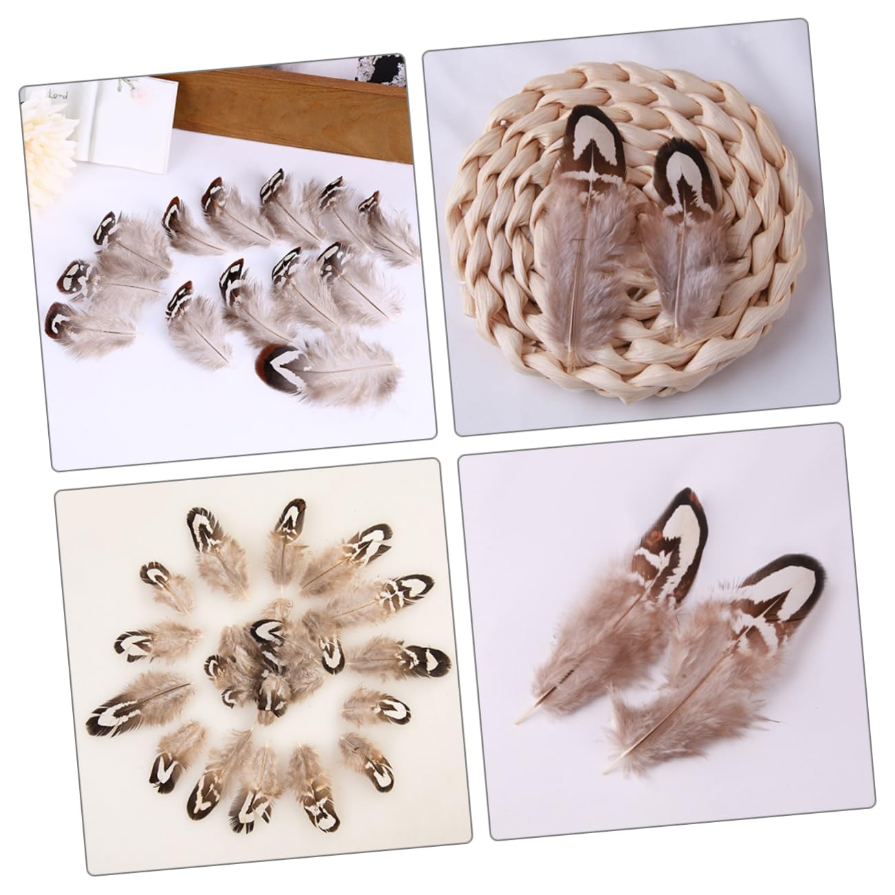 DIYEAH 250piezas De Para Manualidades Decoración De Bodas y De Accesorios De Bricolaje Ecológicos