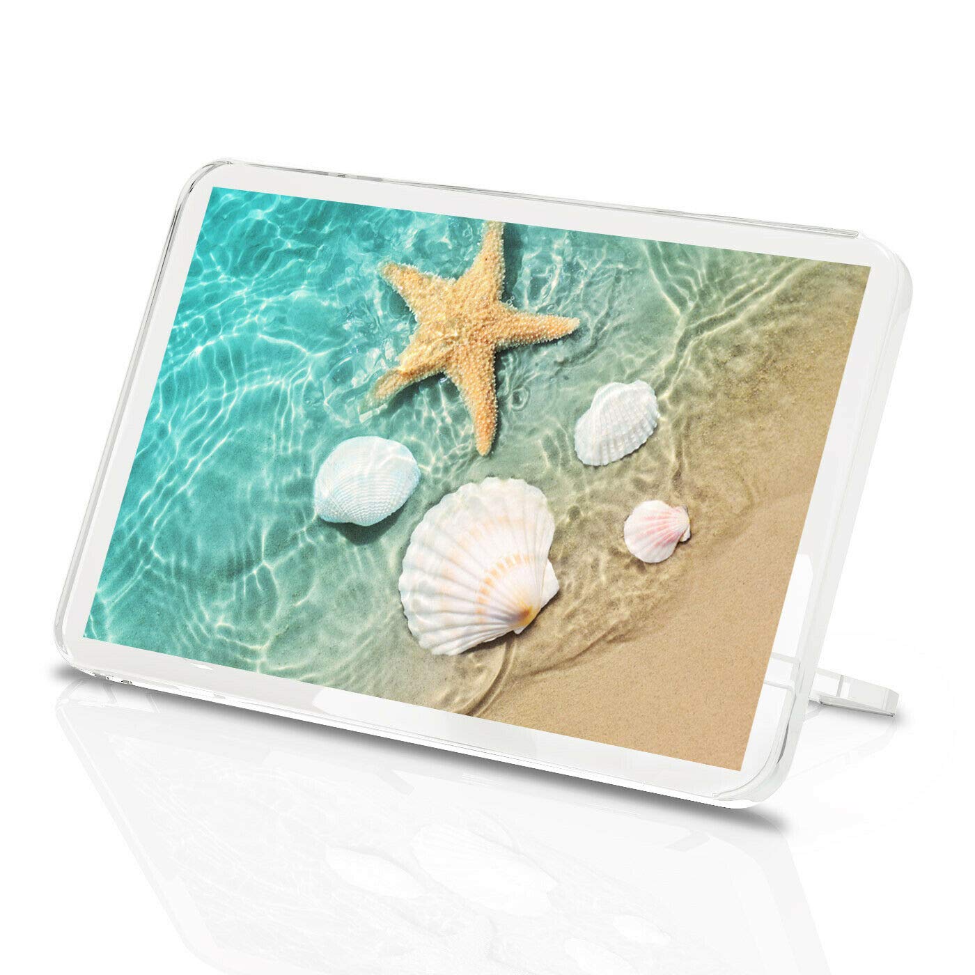 Starfish Ocean Beach Classic Fridge Magnet - Sea Shell Seaside Coast Gift #16972