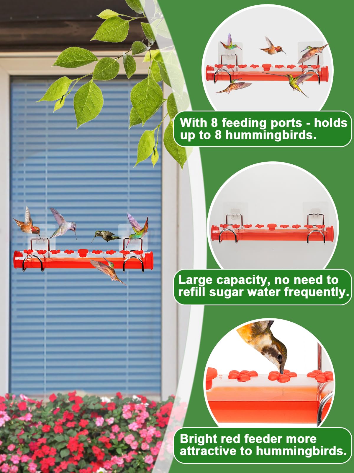 Snapklik.com : Easy To Clean Window Hummingbird Feeder - 8 Feeding