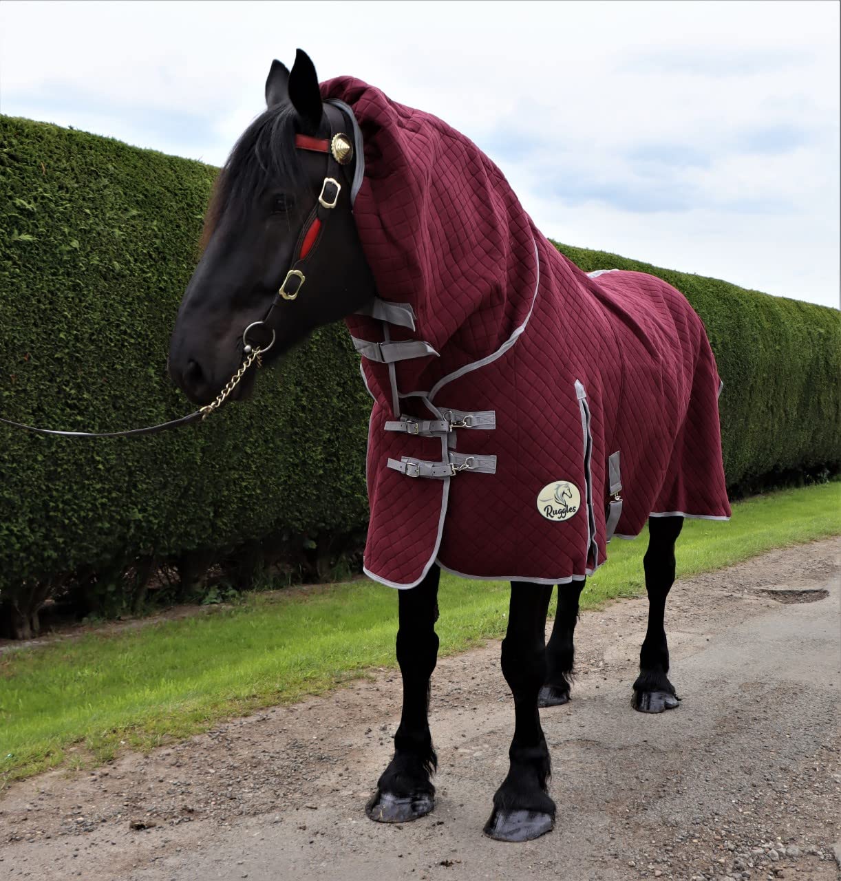 Ruggles Triple Layer Wicking Combo Rug for Heavy Horses Shires Clydesdale Suffolk Punch | Ideal for Travel Shows Stable and Drying/Cooling after Exercise or Bathing (6' 3", Port Royal) — image 1