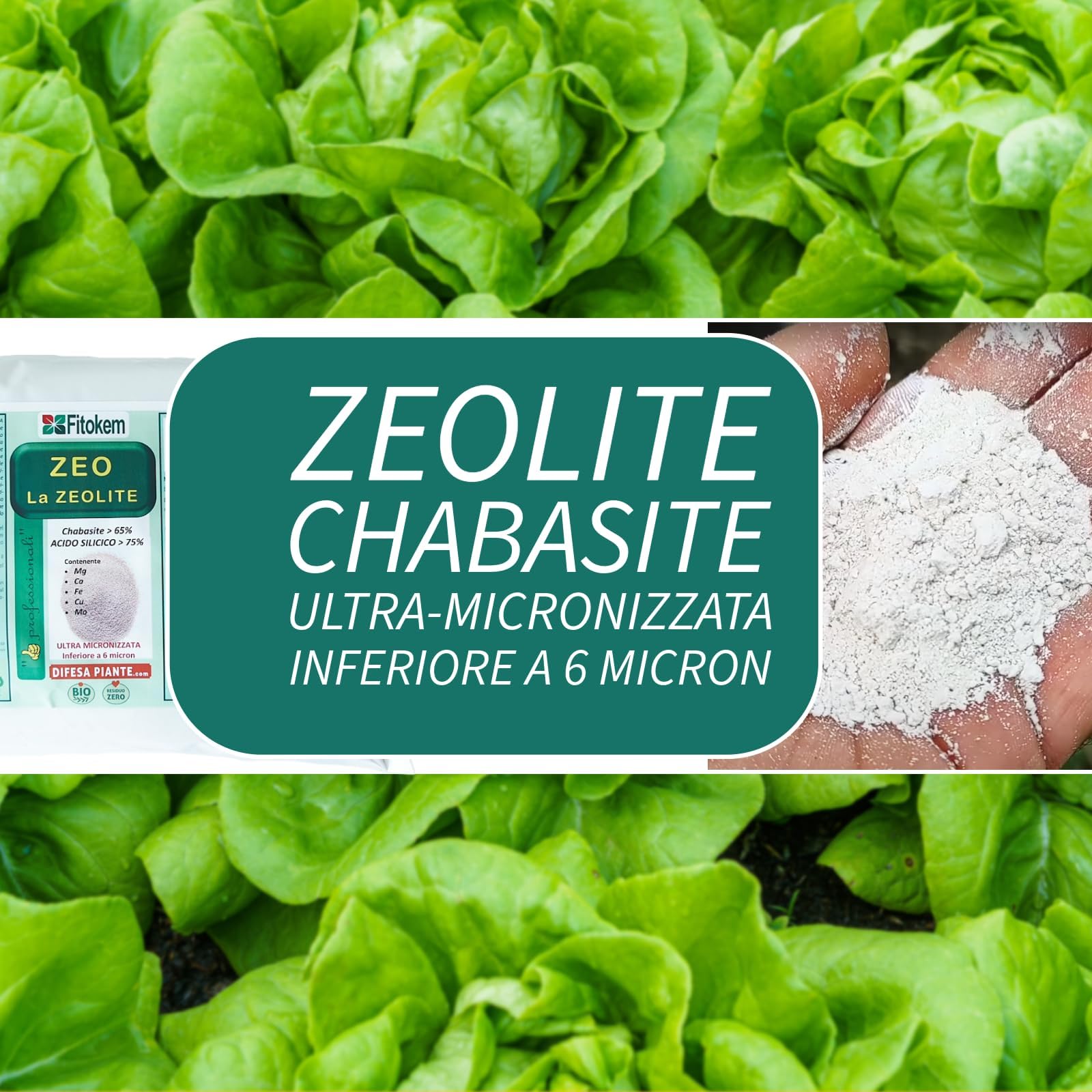 Fitokem Zeo Zeolite per Piante 6kg Polvere di Roccia per Agricoltura