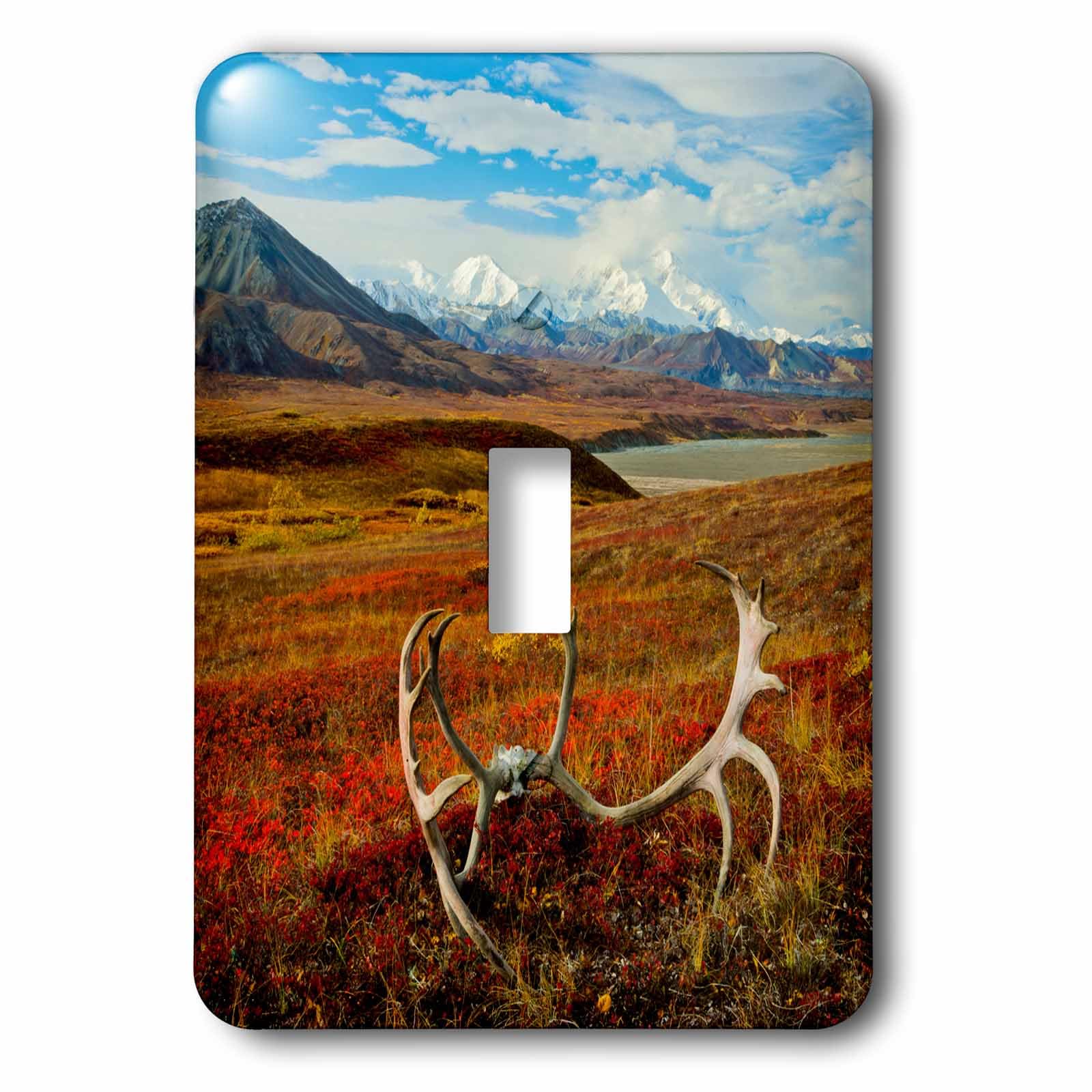 Placa para interruptor Denali Alaska de 3dRose con acabado artistico resistente