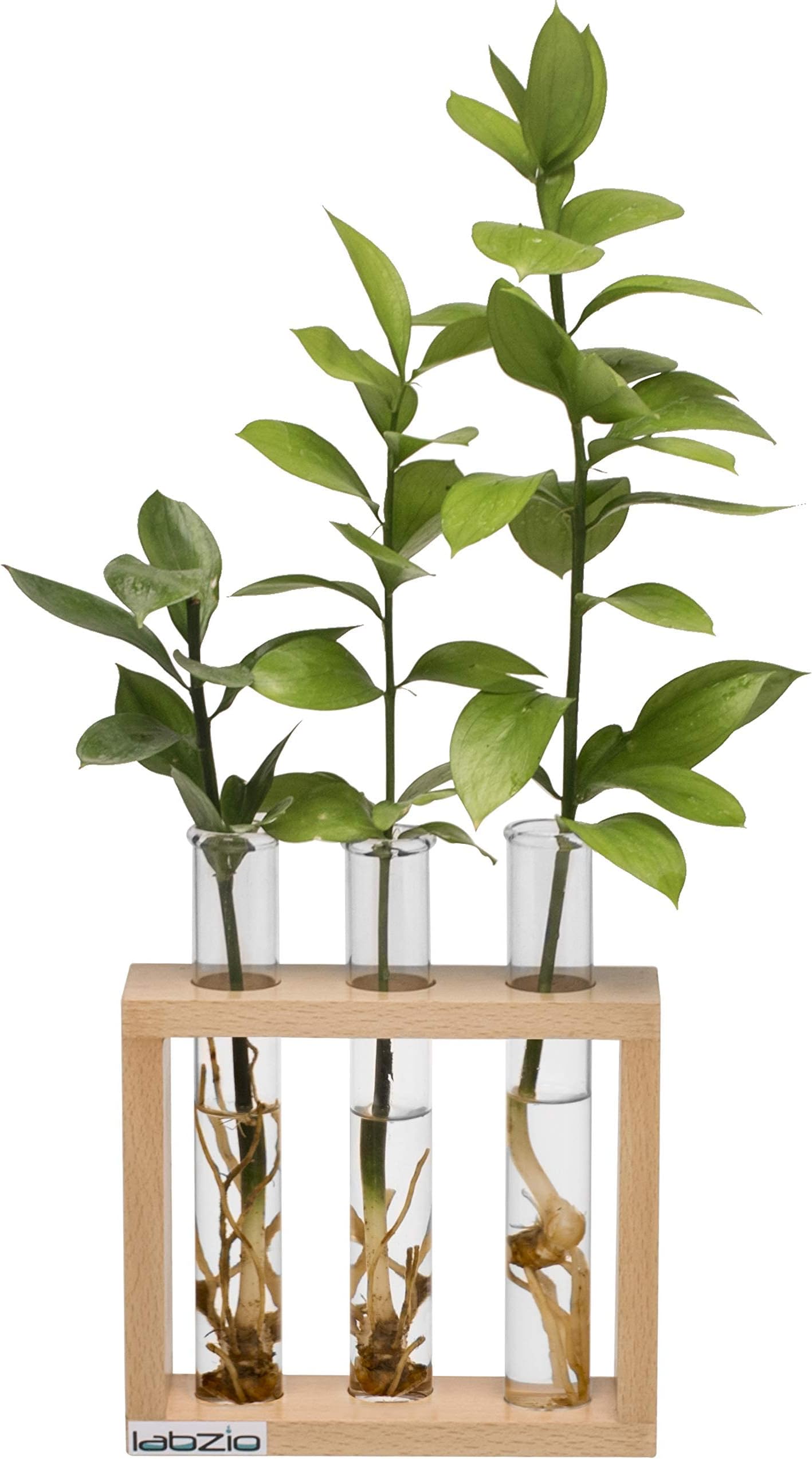 Wooden Flower Vase – Handcrafted Decorative Stand with 3 Borosilicate Glass Test Tubes – Elegant Diwali Home & Office Decor, Festive Floral Display, Pooja Room & Wedding Gift