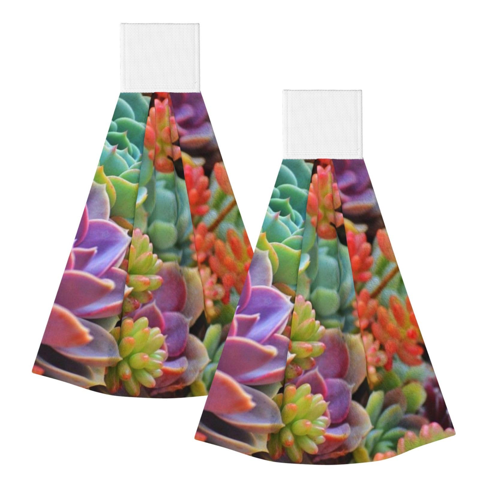DOPKLNA Cute Beautiful Succulents, 2 Pcs Hanging Coral Fiber Hand Towels for Bathroom, Absorbent Kitchen Towels