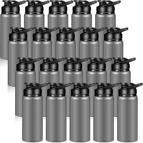 20 Pack Aluminum Water Bottles 20 Oz Metal Sports Bottles with Snap Lids Portable Bike Water Bottle Reusable Travel Bottles with Handle Bulk Pack for Gym Hiking Sports Camping Fishing (Gray)