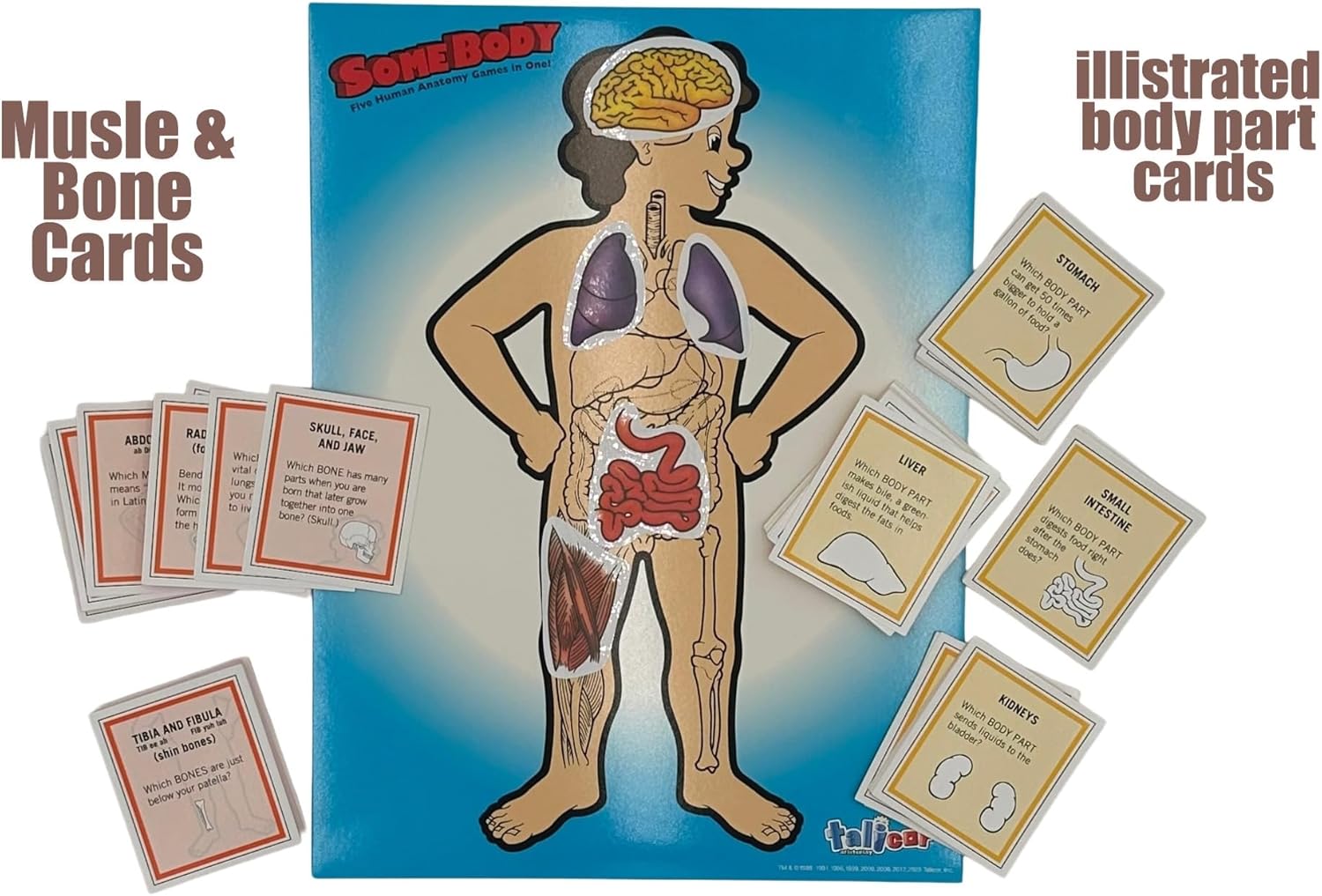 Somebody Human Anatomy Game – Educational Science Board Game for Kids Ages 6+ | Learn The Human Body, Organs & Systems | Talicor