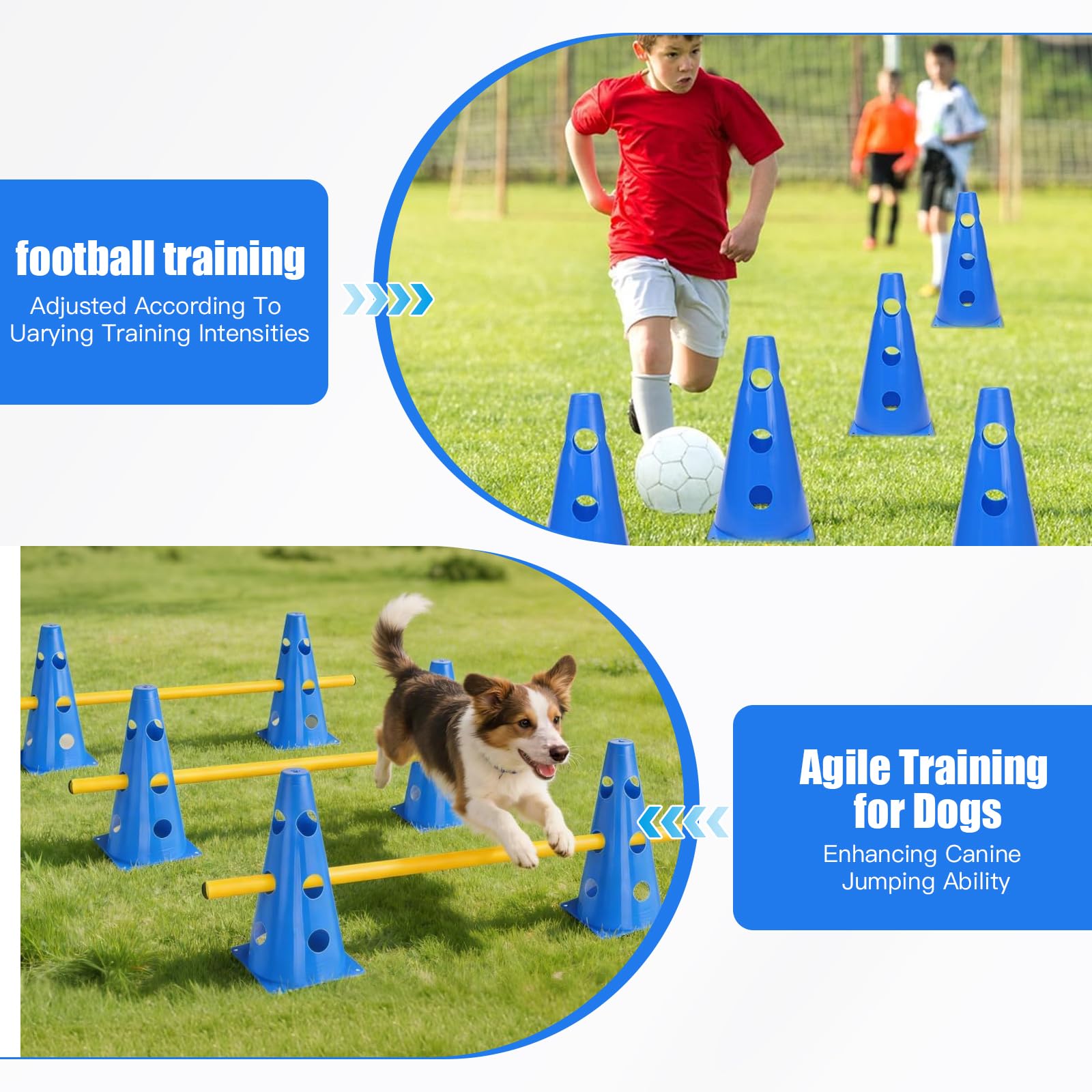 Agility Set Hunde, Agility Trainingsgerät Sports Cavaletti Hunde Steckhürdenset, Kegel Trainingshürden Einstellbar 10 Kegel + 5 Stangen, Agility Hürden Steckhürden (B)