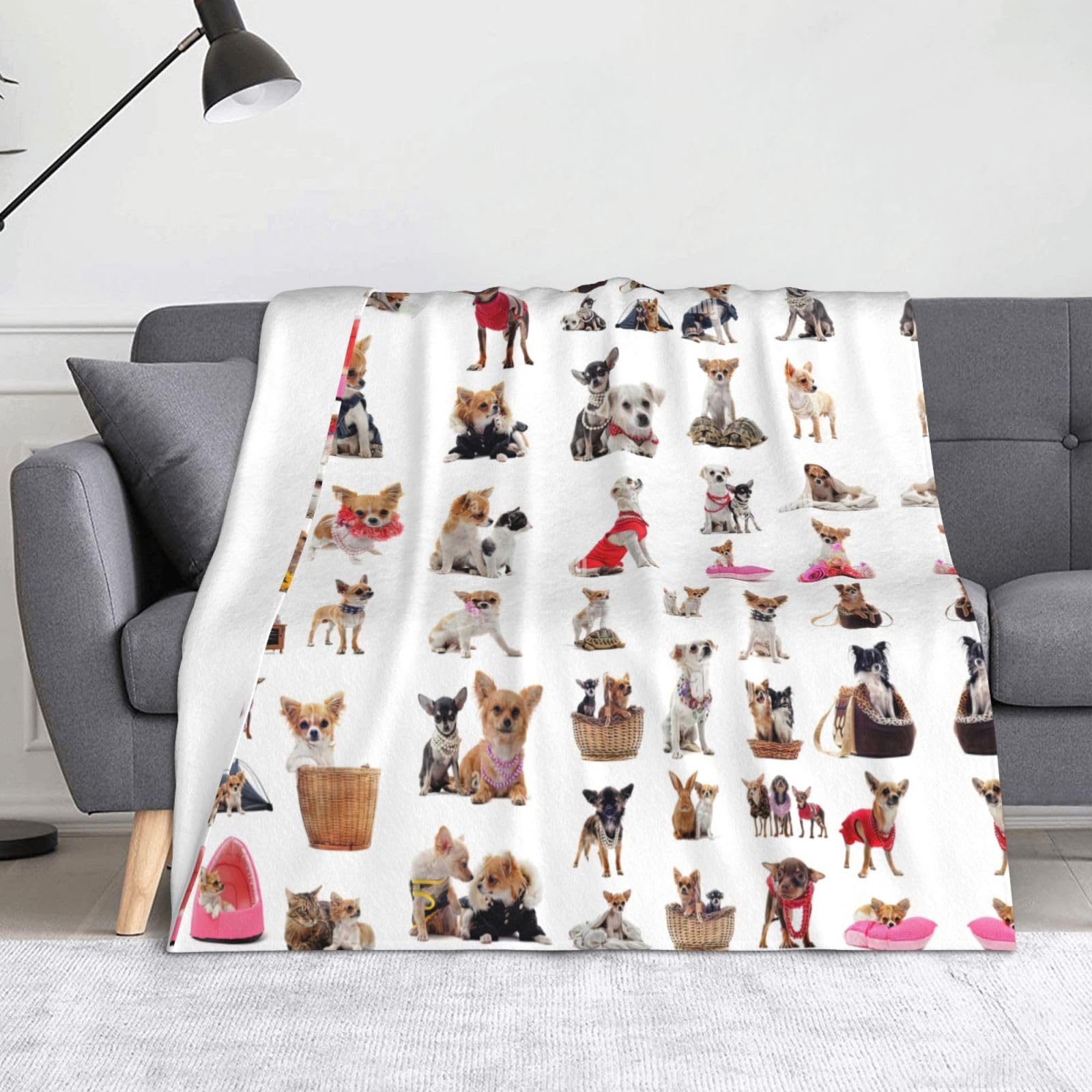 Couverture en flanelle chihuahua pour des soirées cocooning d'Halloween