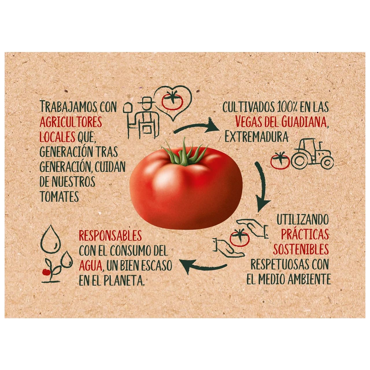 SOLÍS Gebratene Tomaten mit Olivenöl im brick 350 g. 3er-Pack