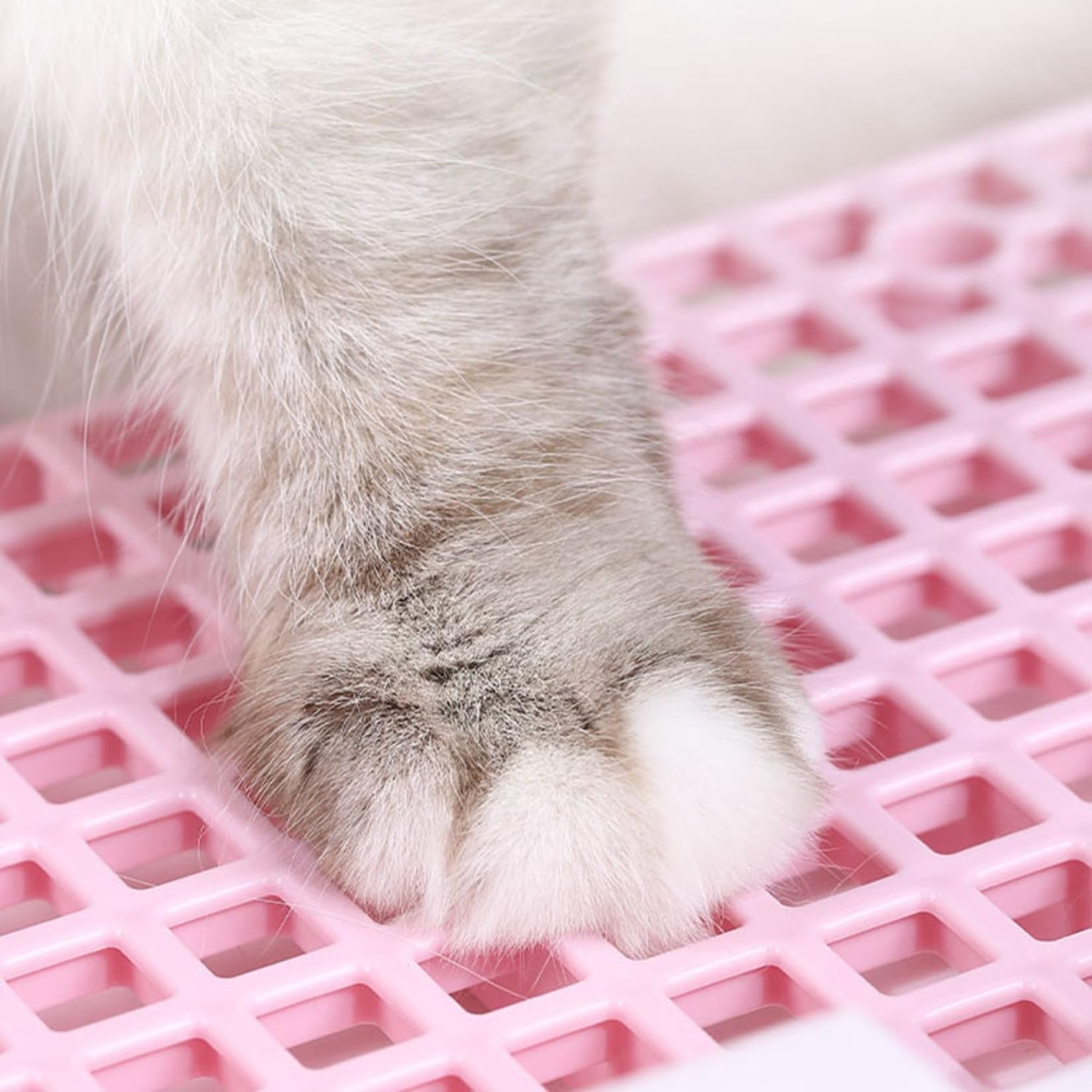 Amazon | 猫トイレ ドーム型 猫用トイレ本体 ドア付き ルカバー ふた