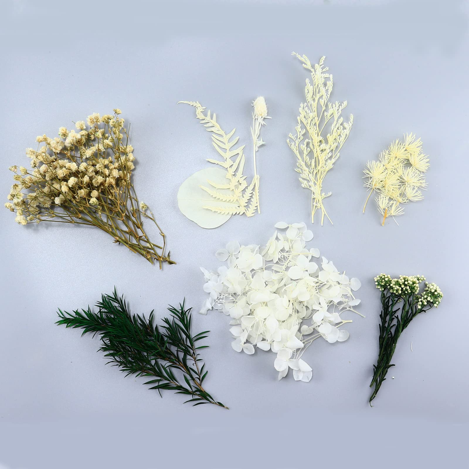 Trockenblumen-Set Zum Basteln – Verschiedene Blüten & Blätter In Blau, Für DIY, Epoxy, Deko & Mehr