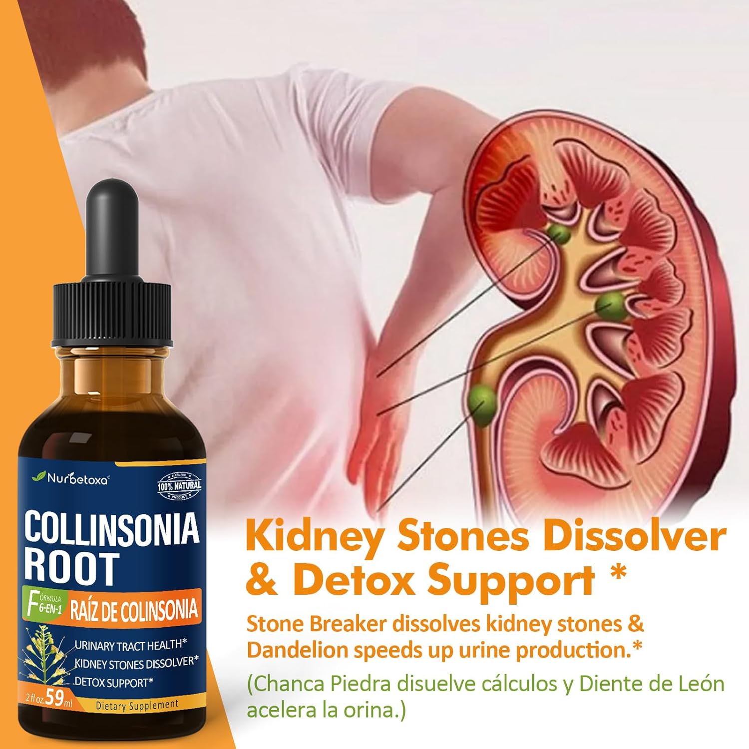 Collinsonia (Stone Root) Drops for Urinary Tract Health, Natural Herbal Formula Supplement w/Stone Breaker Chanca Piedra Extract Support Kidney Stones Dissolver & Detox Cleanse. 2oz - Image 3