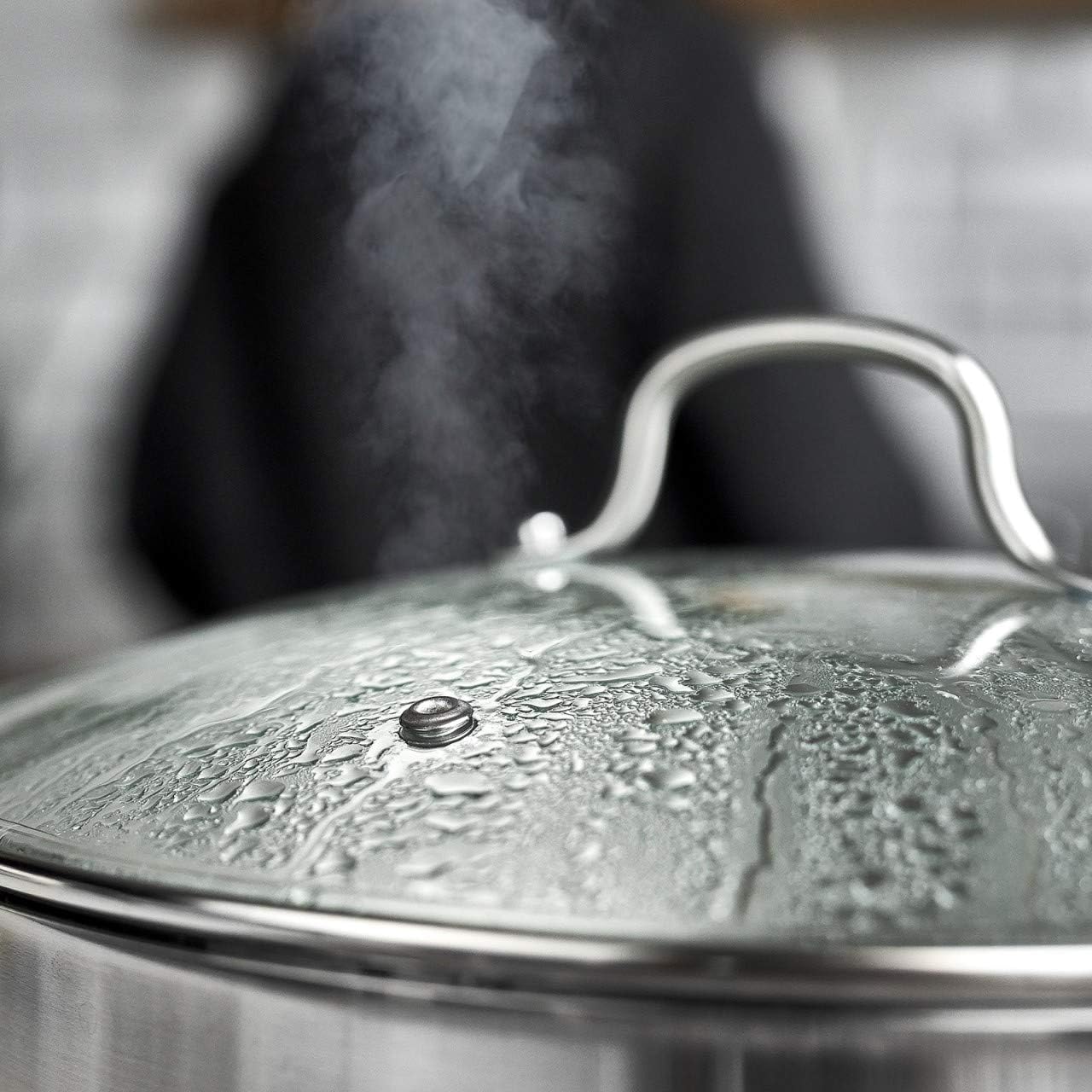 SPRINGLANE Pentola da 5 litri in acciaio inox con coperchio in vetro, Casseruola