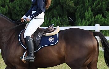 T TEKE 44 Twinkle Training Whips, Schooling Whip/Dressage Whip, Golf Handle, Reflex Shaft, and Integrated Popper