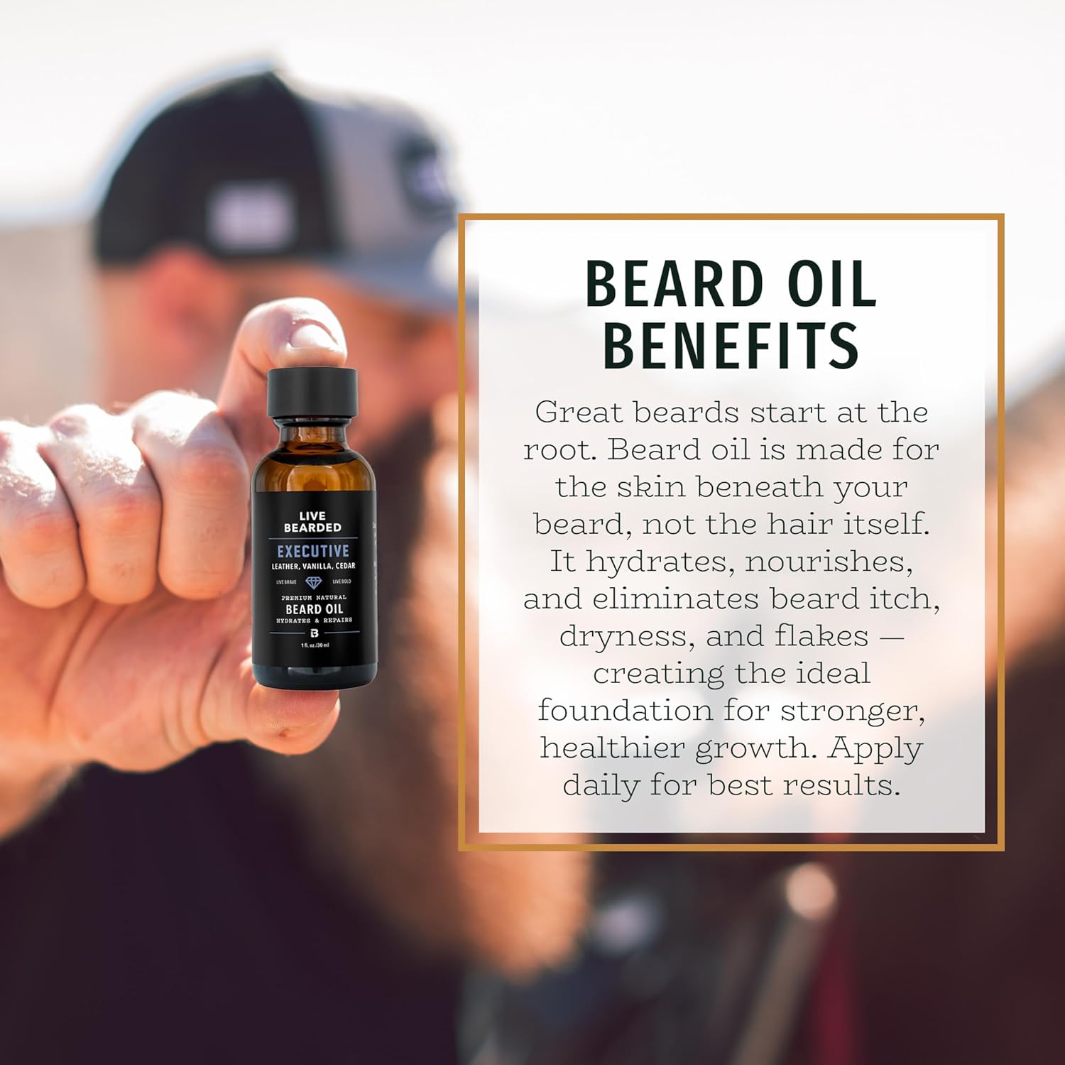 Live Bearded Beard Oil, 1 fl oz - Premium All-Natural Jojoba - Made in the USA - Hair and Skin Care for Men with Dry, Flaky Patches | Executive Scent - Cedar, Vanilla - Image 3