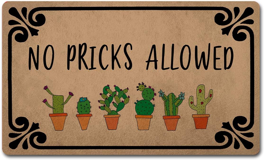 Z plus Welcome Mats 30"(L) x 18"(W) Personalized Funny Door Mats for Entrance Way/Kitchen Rugs and Mats/Front Door Mats Anti-Slip Rugs (No Pricks Allowed Cute Cactus)