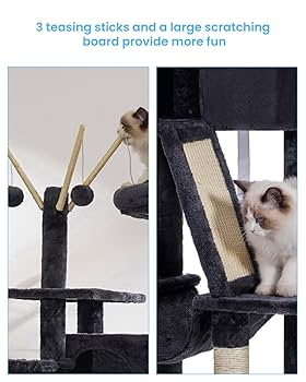 from cat st　10冊 11只猫系列 11 Cats Series (Set of 6) – My Story Treasury