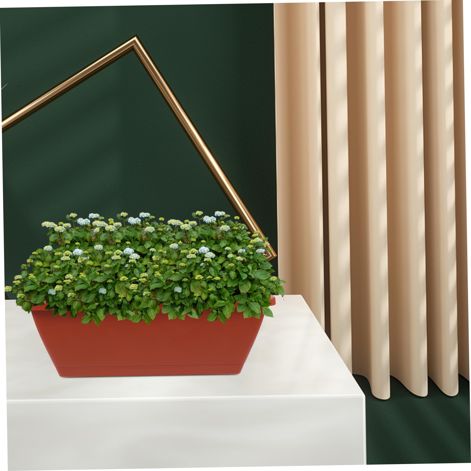 HANABASS 6pezzi Vasi in Plastica Rettangolari Rossi Per Piante Grandi Bonsai e Orto Da Interno Ed Esterno Profondi Traspiranti e Resistenti Per Balcone e Ufficio