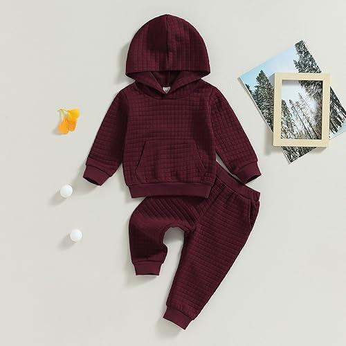 Miniatura 2 de Ledy Champswiin Ropa deportiva para bebé, niño, niña, color sólido, sudadera con capucha y pantalones