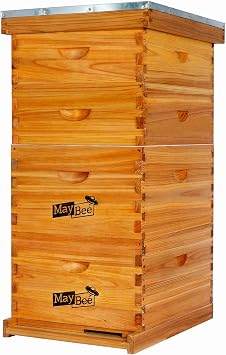 MayBee 10-Frame Langstroth Beehive Dipped in 100% Beeswax, Complete Bee Hives and Supplies Starter Kit Includes 2 Deep Hive Bee Box and 2 Bee Hive Super with Beehive Frames and Foundation