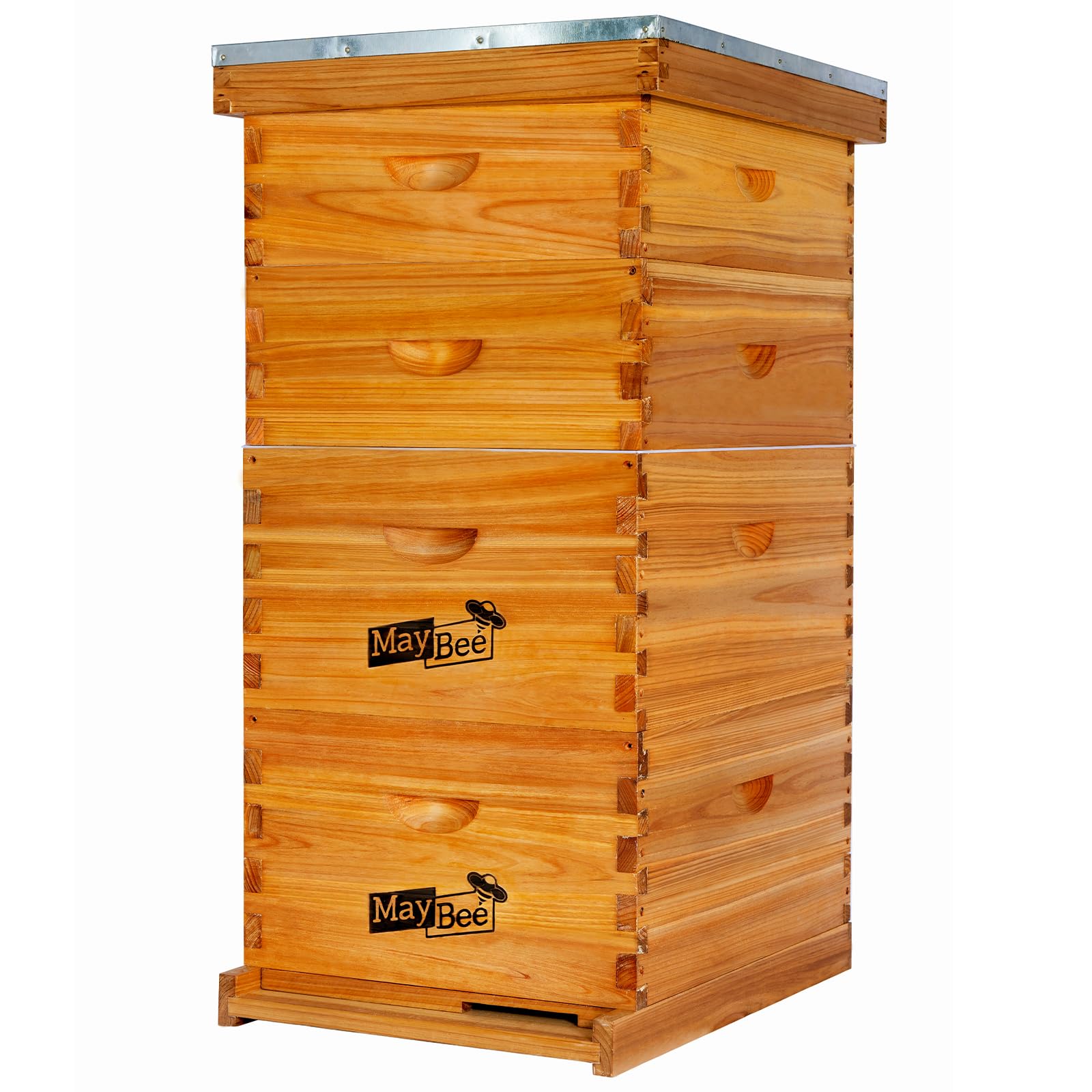 9 Best Langstroth Beehive | Build a Hive That Survives the Winter