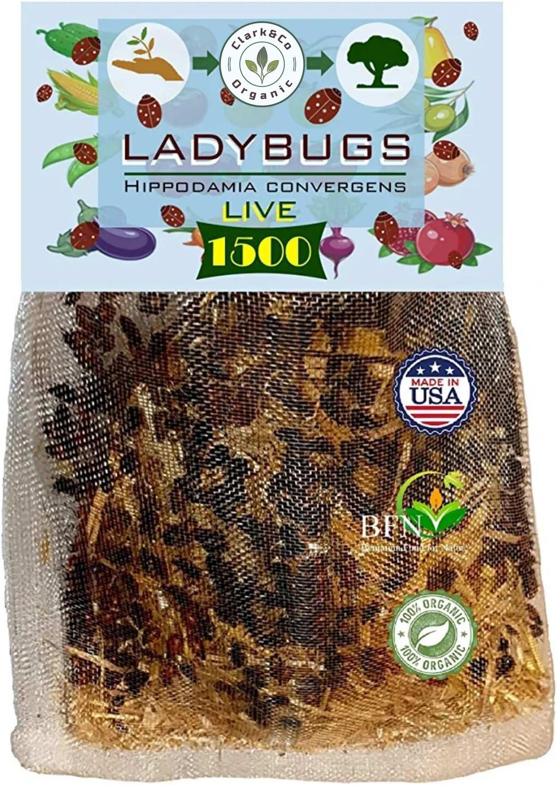 1500x1 Live Ladybugs - Good Bugs - Ladybugs for Garden - Guaranteed Live Delivery!