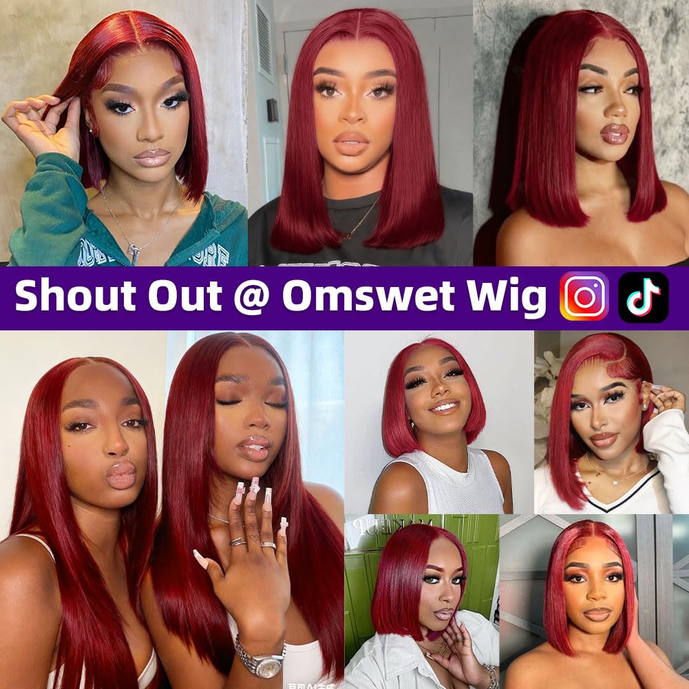 100% Human Hair Wig