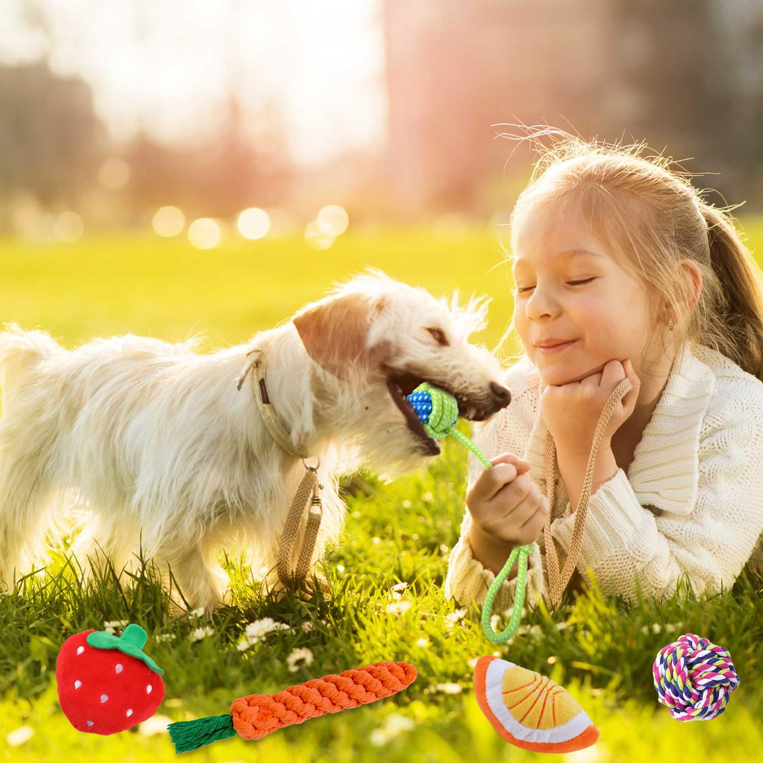 MRSOHRET Hundespielzeug, Kauspielzeug für Welpen, interaktives Quietschspielzeug und Seilspielzeug für kleine Hunde, langlebiges Sortiment, Plüschtier-Hundespielzeug, um sie zu beschäftigen, 18 Stück