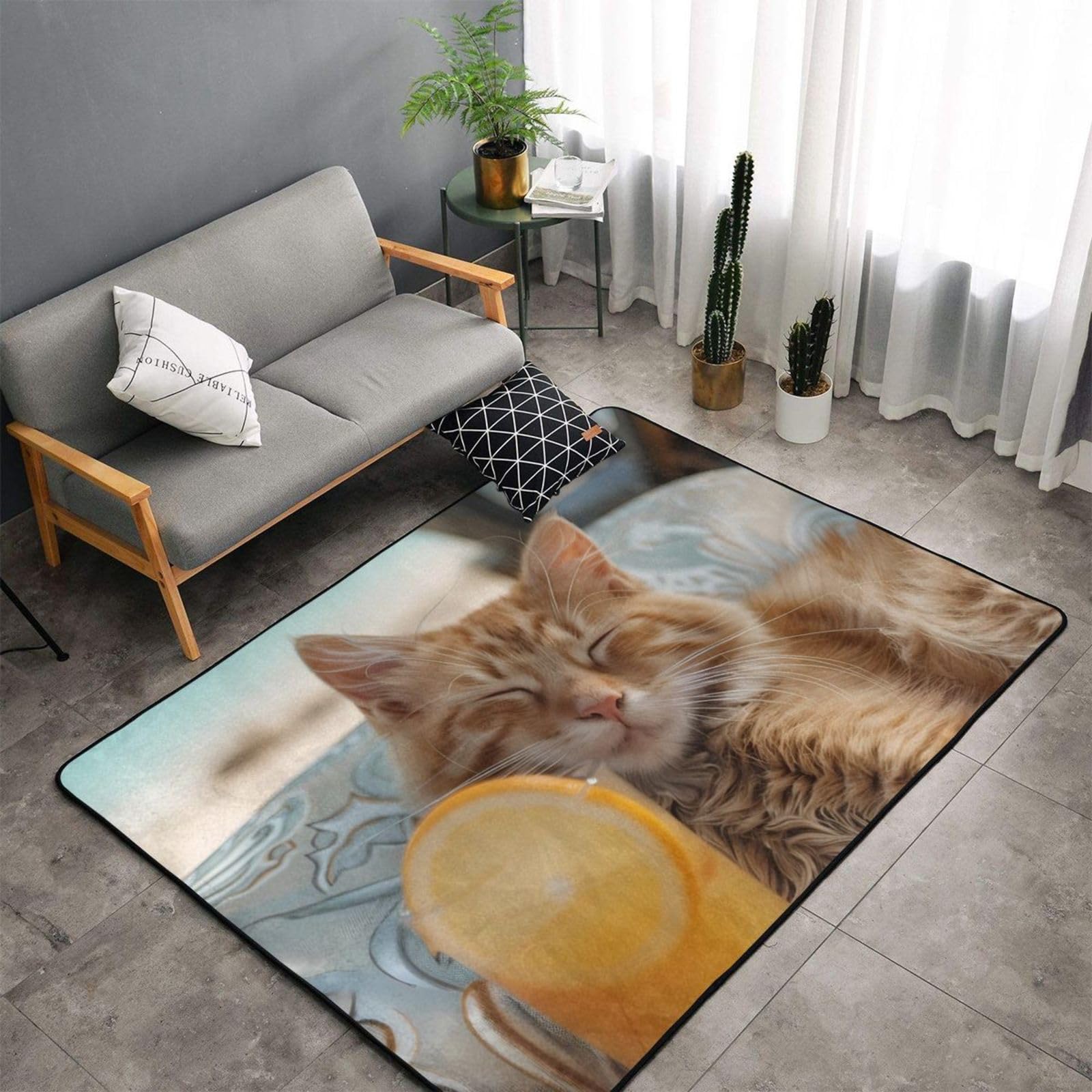 Tapis apaisant pour chat avec zone de jus d'orange pour salon, chambre à coucher, tapis lavable doux, 7,6 x 12,7 cm, antidérapant, tapis de sol intérieur pour décoration