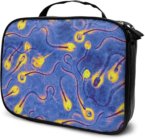 Amazon 化粧ポーチ メイクポーチ 精子の受精 大容量 軽い コンパクト 多機能 収納力抜群 便利 旅行用品収納バッグ 化粧品入れ 小物整理 人気 おしゃれ プレゼント 出張 海外 旅行グッズ Namety 化粧ポーチ 通販