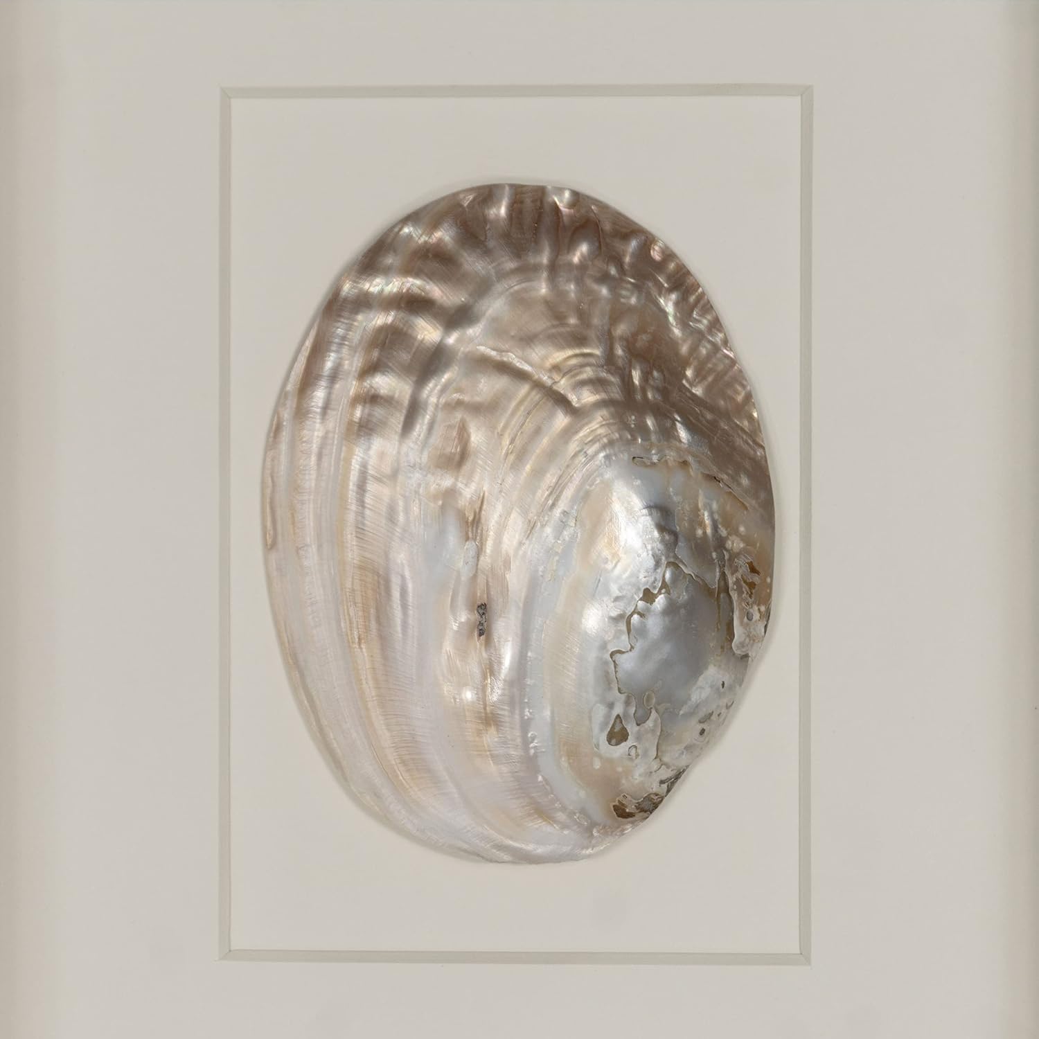 HUJI Abalone & Pearl Shell Shadow Box Wall Décor (2 Piece Set)