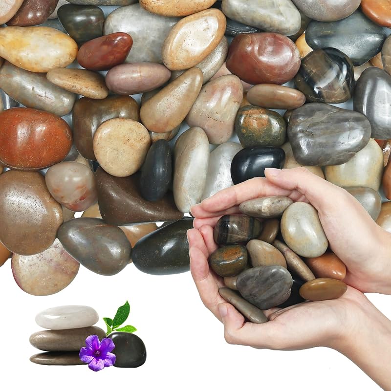20Ib Rain Forest Mixed River Rocks for Landscaping-Polished Pebbles for Plants-Garden Decorative Stones-1-2 Large Plant Rocks,Ideal for Aquarium, Home Decor