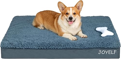 JOYELF Cama mediana para perros – Tapete ortopédico para perro, impermeable, funda extraíble, espuma de caja de huevos, regalo de juguete chirriante