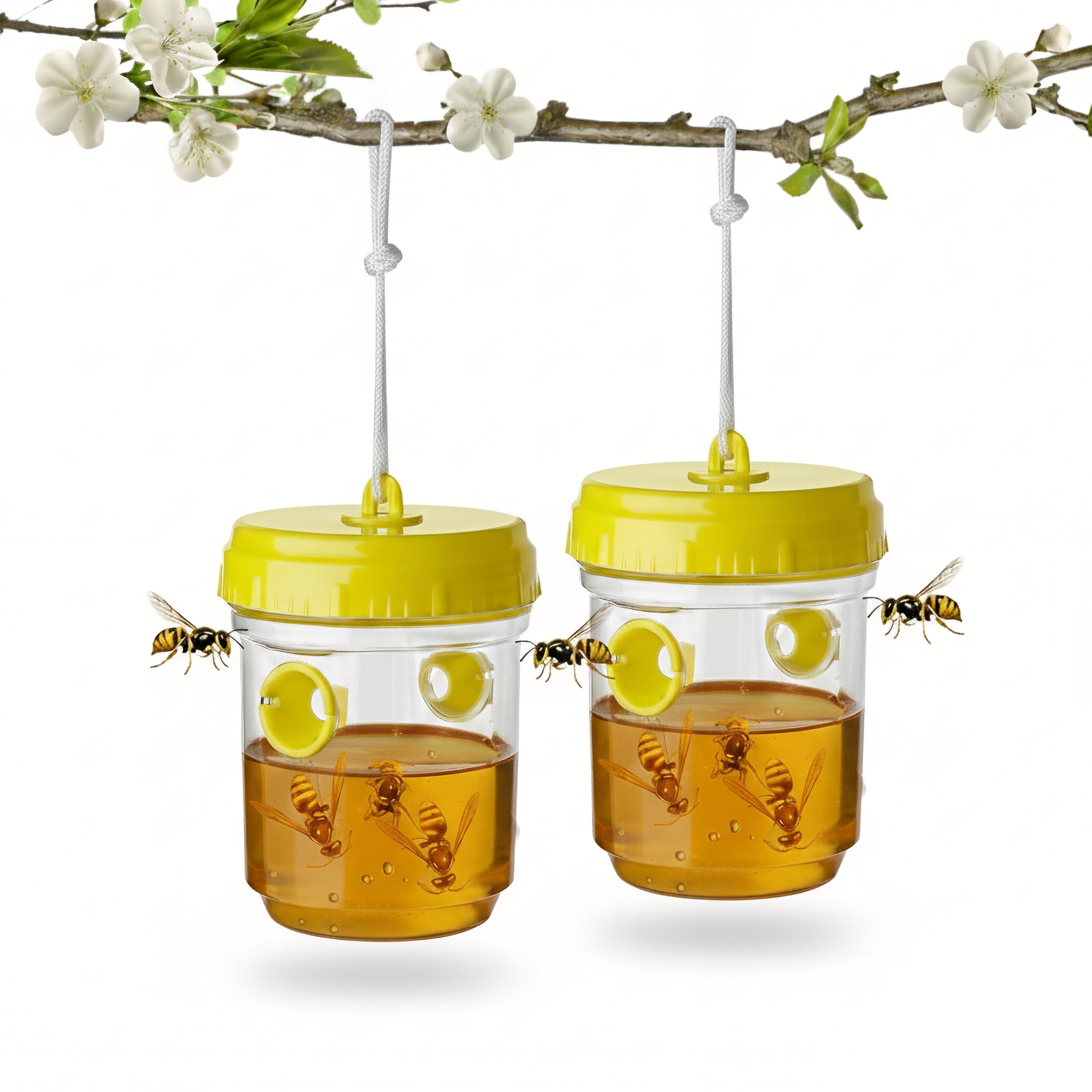GEEZY Wasp Trap Set of 2 – Effective Fly Catcher & Bee Deterrent for Outdoor & Indoor Use – Leakproof, Organic Bait, Lightweight – Traps Wasps, Fruit Flies, Hornets & Yellow Jackets