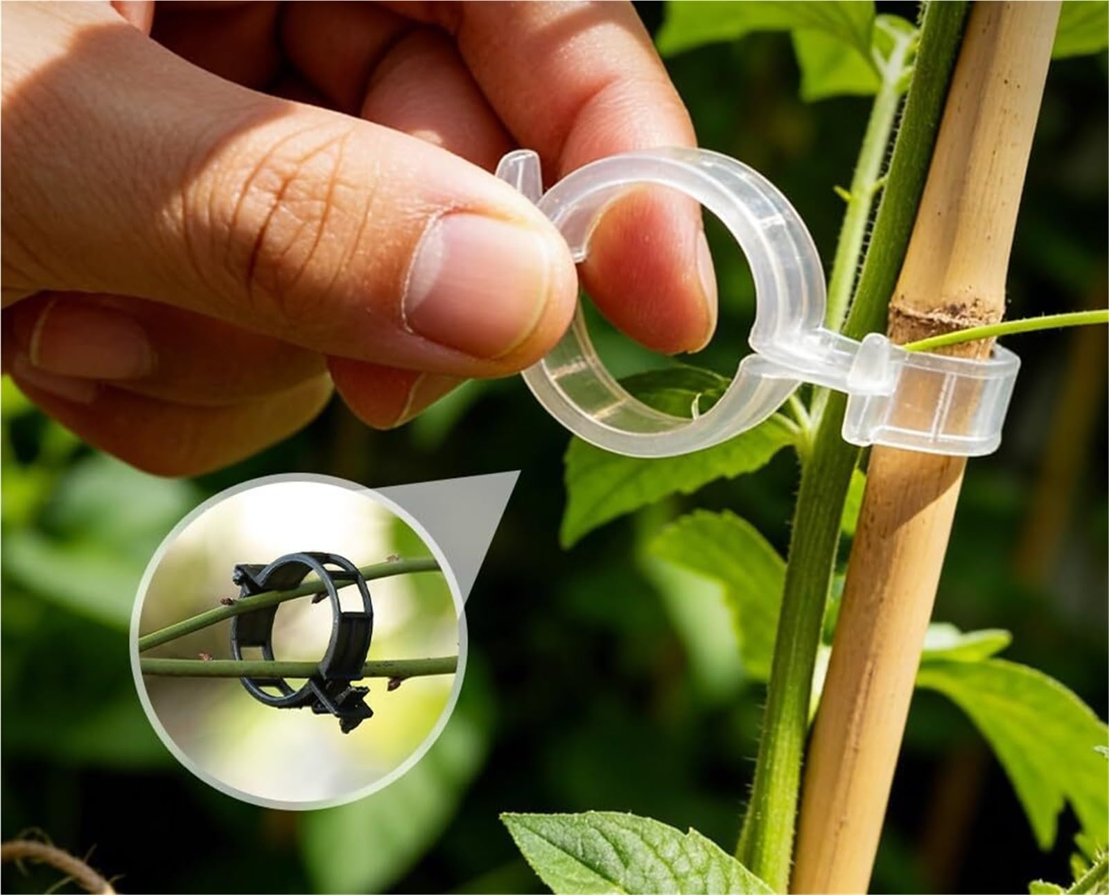 Mollette di sostegno per rampicanti da giardino, Clip Sostegno Piante for Pomodori E Viti Multicolor 150/300 pz(White 300Pcs)