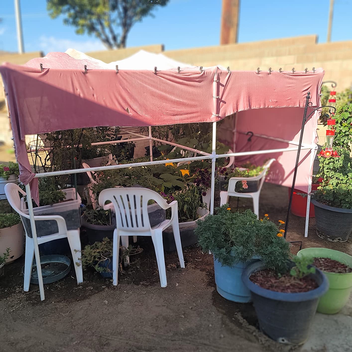 4/mo Finance BESTEEL Upgraded 100 PCS Garden Clips, Greenhouse