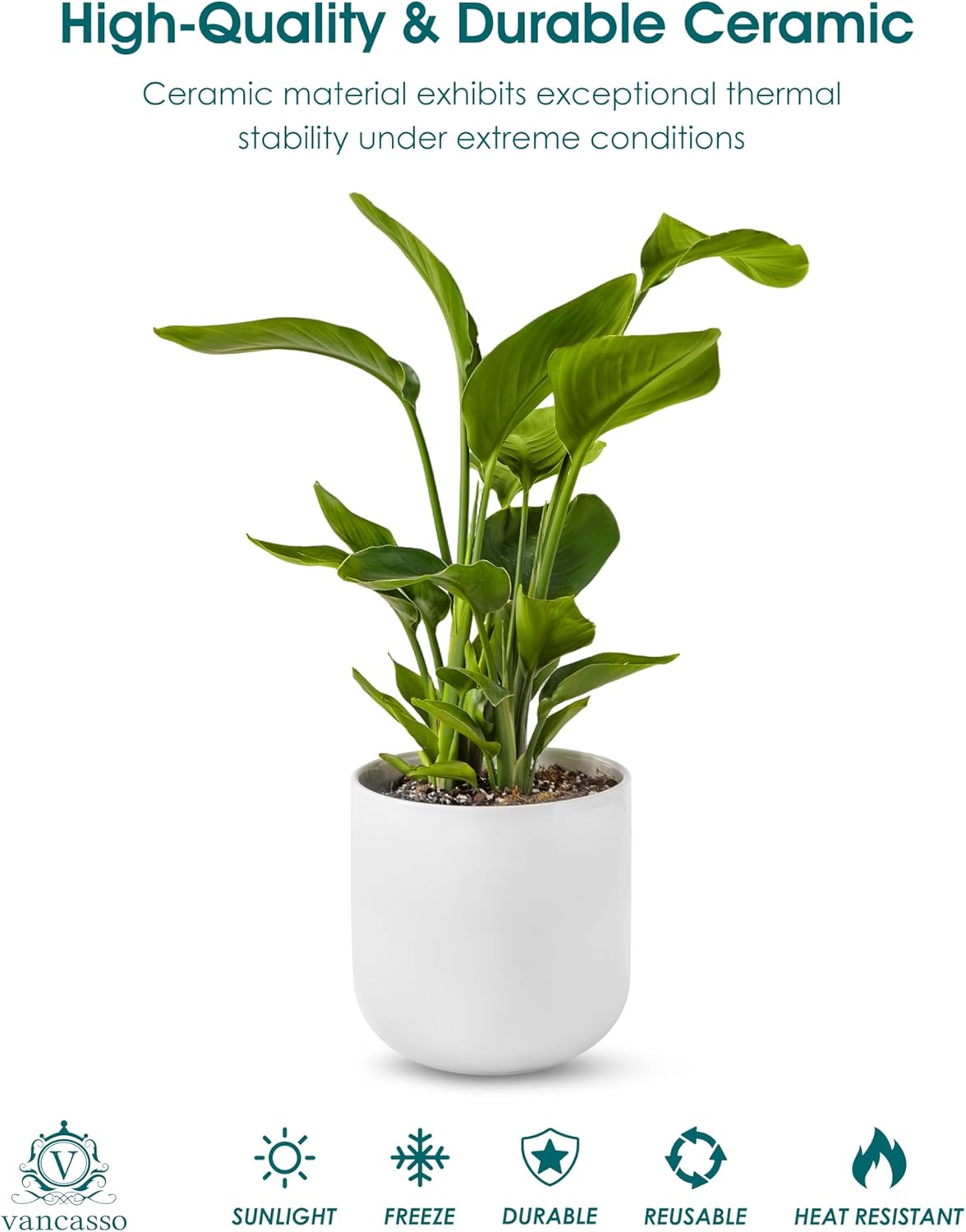 vancasso 8 Inch Ceramic Plant Pots, Planters with Drainage Hole, Flower Pots Planters Pots for Indoor Plants, Modern Indoor Decorative Garden Pot, Home Decor, White - Image 4