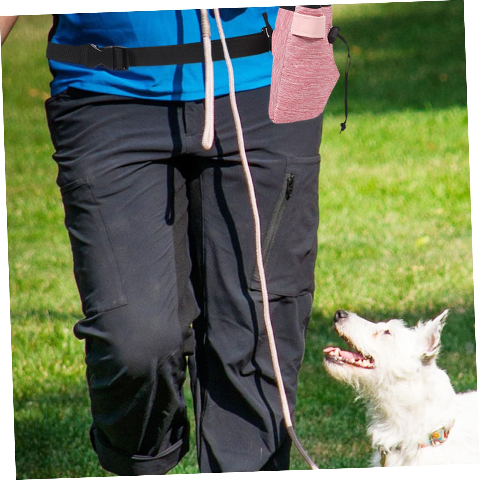 INOOMP 4piezas Bolsa De Entrenamiento para Perros De Oxford Riñonera Portátil para Snacks y Accesorios para Paseos y Adiestramiento De Cachorros