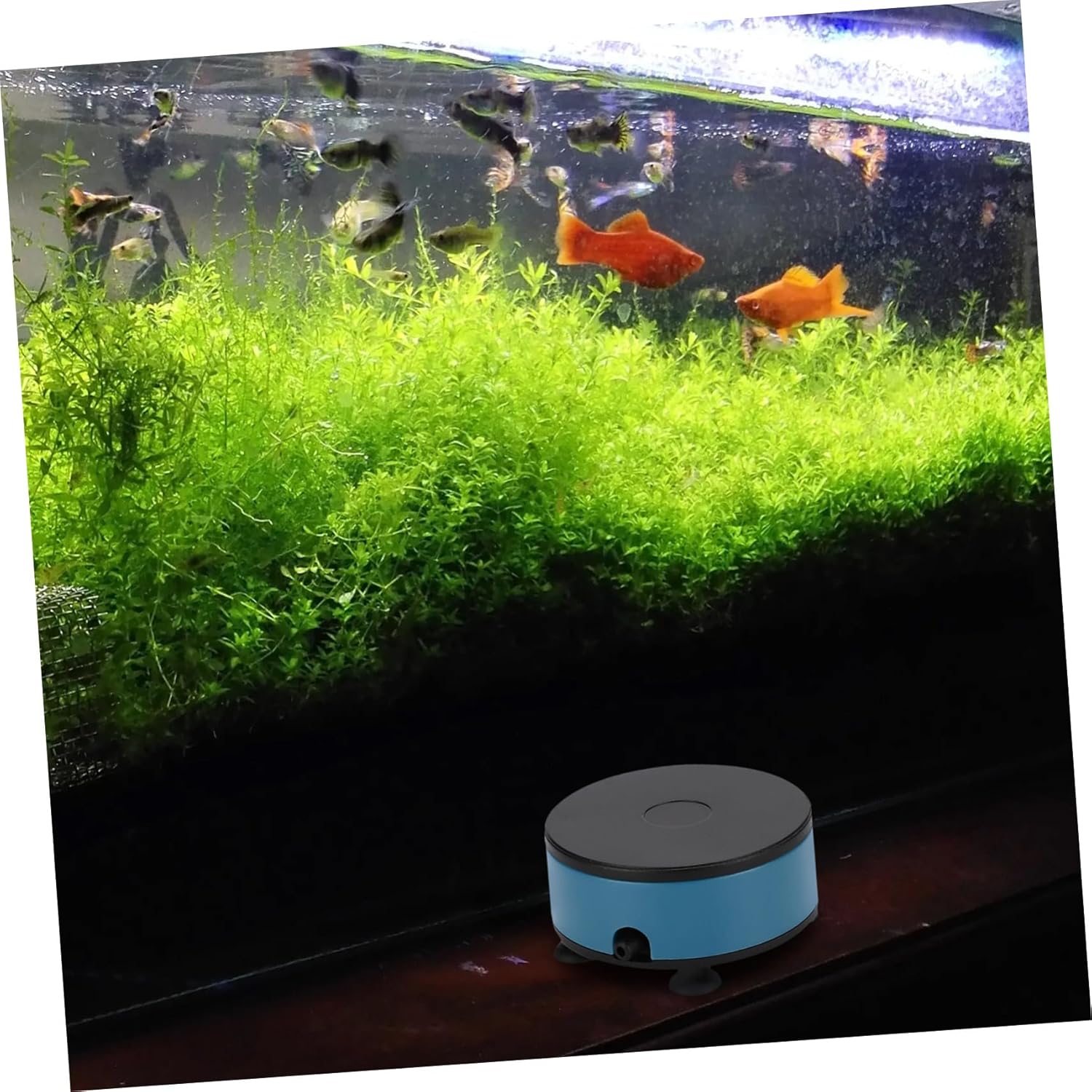 Sosoport Oxygen Pump Accessories Paddle Cordless Inflatables Fish Air Pump High Volume Pump Aerator Pump Sup