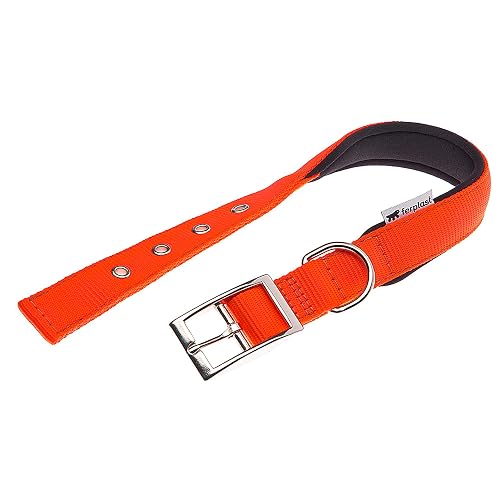Ferplast Collar para Perro, tamaño Mediano-Grande, de Nailon Acolchado con Hebilla metálica Ajustable