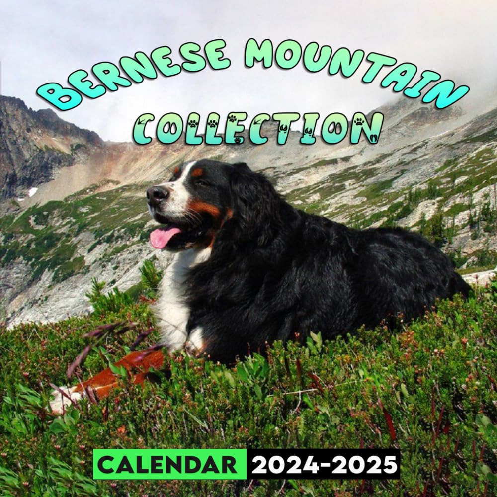 Bernese mountain Collection Calendar 20242025 24 Month Planner To