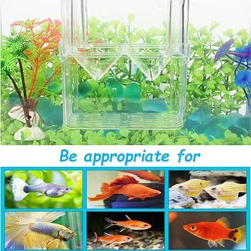 Tfwadmx Fish Breeding Box, 3 Rooms HD Aquarium Breeder Box with Suction Cups Hatchery Acrylic Fish Incubator Isolation with Artificial Plant for Guppy Hatchery