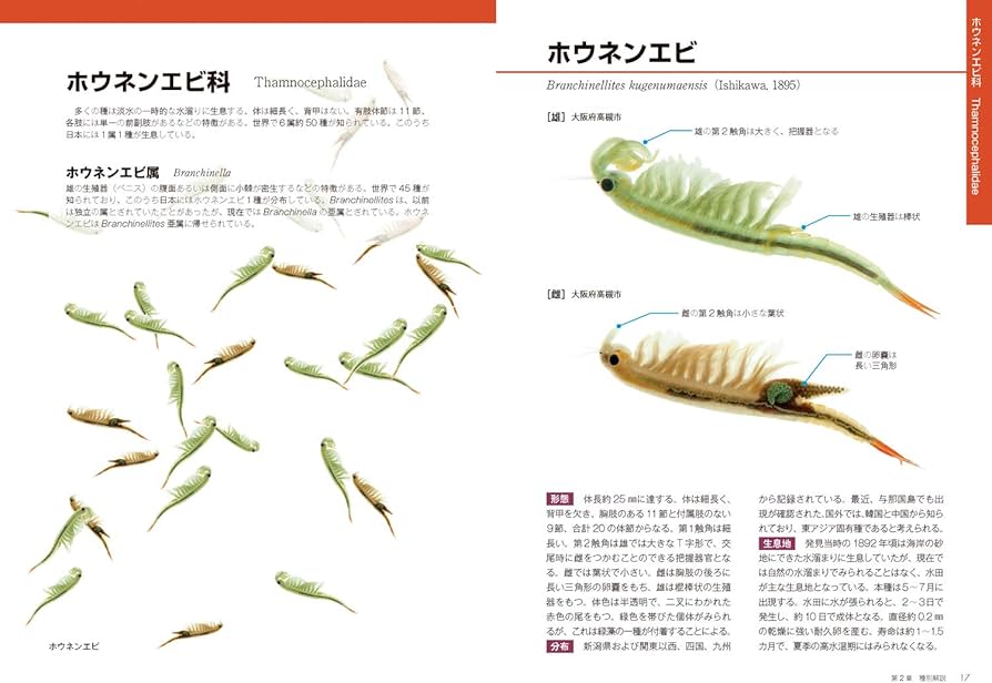 71eLLY8KIML._AC_UF894,